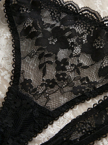 2pcs/Set Women Lace Sheer Bra And Panty Set, Sexy Lingerie